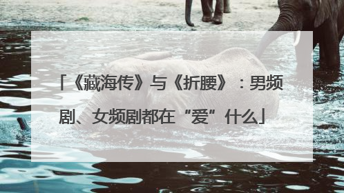 《藏海传》与《折腰》：男频剧、女频剧都在“爱”什么