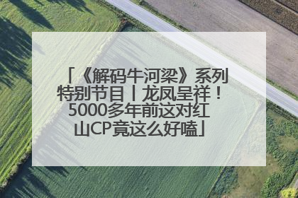 《解码牛河梁》系列特别节目丨龙凤呈祥！5000多年前这对红山CP竟这么好嗑