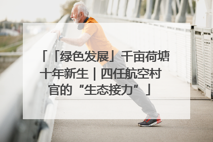 「绿色发展」千亩荷塘 十年新生｜四任航空村官的“生态接力”