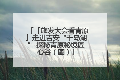 「旅发大会看青原」走进吉安“千岛湖” 探秘青原秘境匠心谷（图）