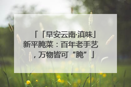 「早安云南·滇味」新平腌菜：百年老手艺，万物皆可“腌”