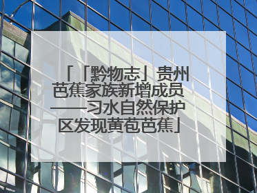 「黔物志」贵州芭蕉家族新增成员——习水自然保护区发现黄苞芭蕉