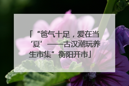 “爸气十足，爱在当‘夏’——古汉潮玩养生市集”衡阳开市