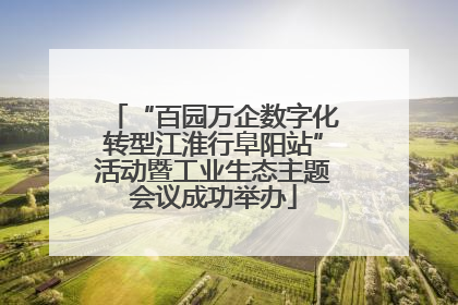 “百园万企数字化转型江淮行阜阳站”活动暨工业生态主题会议成功举办