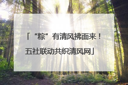 “粽”有清风拂面来！五社联动共织清风网