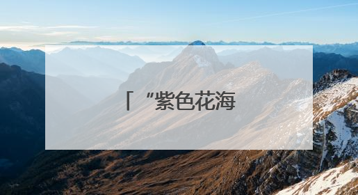 “紫色花海”引客来