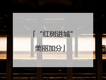 “红树进城” 美丽加分
