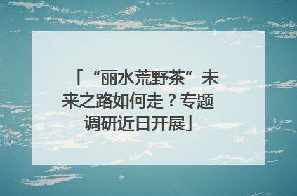 “丽水荒野茶”未来之路如何走？专题调研近日开展