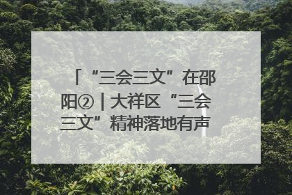 “三会三文”在邵阳②｜大祥区“三会三文”精神落地有声 以实干实绩助力区域高质量发展