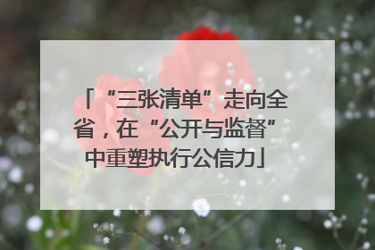 “三张清单”走向全省，在“公开与监督”中重塑执行公信力