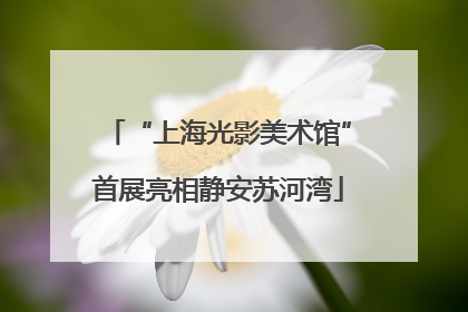“上海光影美术馆”首展亮相静安苏河湾