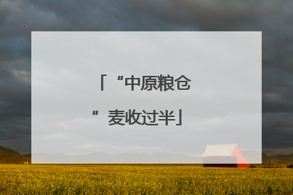 “中原粮仓”麦收过半