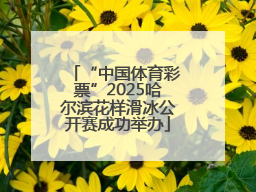“中国体育彩票”2025哈尔滨花样滑冰公开赛成功举办