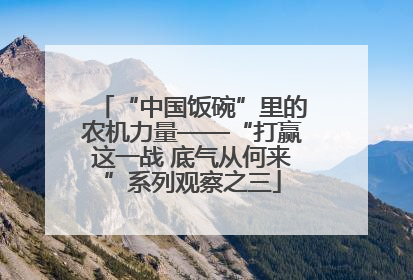 “中国饭碗”里的农机力量——“打赢这一战 底气从何来”系列观察之三