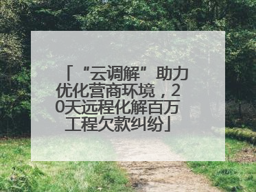 “云调解”助力优化营商环境，20天远程化解百万工程欠款纠纷