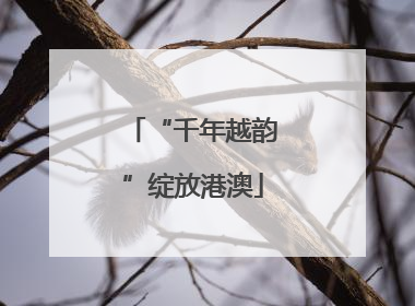 “千年越韵”绽放港澳