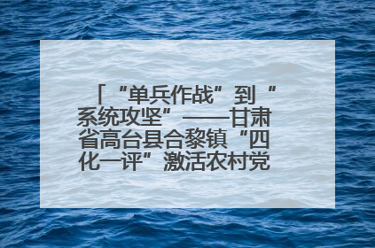 “单兵作战”到“系统攻坚”——甘肃省高台县合黎镇“四化一评”激活农村党员管理新引擎