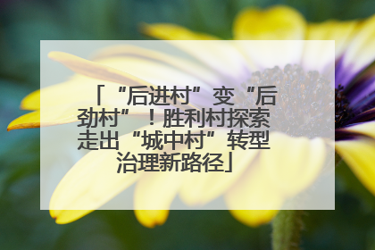 “后进村”变“后劲村”！胜利村探索走出“城中村”转型治理新路径