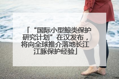 “国际小型鲸类保护研究计划”在汉发布，将向全球推介落地长江江豚保护经验