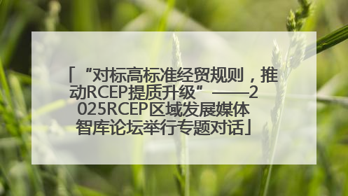 “对标高标准经贸规则，推动RCEP提质升级”——2025RCEP区域发展媒体智库论坛举行专题对话