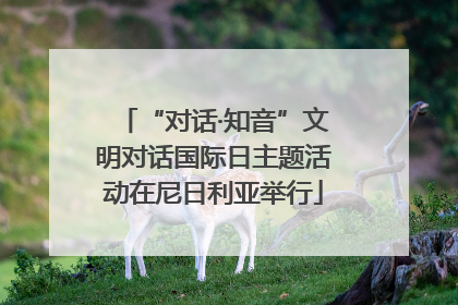 “对话·知音”文明对话国际日主题活动在尼日利亚举行