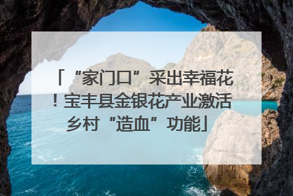 “家门口”采出幸福花！宝丰县金银花产业激活乡村“造血”功能