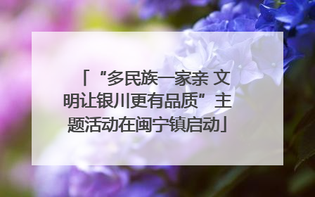 “多民族一家亲 文明让银川更有品质”主题活动在闽宁镇启动