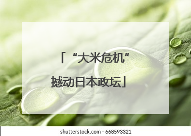 “大米危机”撼动日本政坛