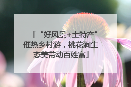“好风景+土特产”催热乡村游，桃花涧生态美带动百姓富
