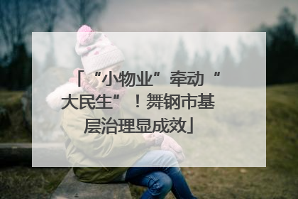 “小物业”牵动“大民生”！舞钢市基层治理显成效