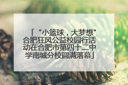 “小篮球，大梦想”合肥狂风公益校园行活动在合肥市第四十二中学南城分校圆满落幕