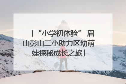 “小学初体验” 眉山彭山二小助力区幼萌娃探秘成长之旅
