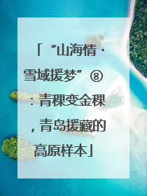 “山海情・雪域援梦”⑧：青稞变金稞，青岛援藏的高原样本