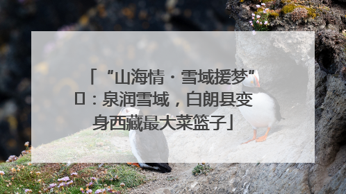 “山海情・雪域援梦”⑪：泉润雪域，白朗县变身西藏最大菜篮子