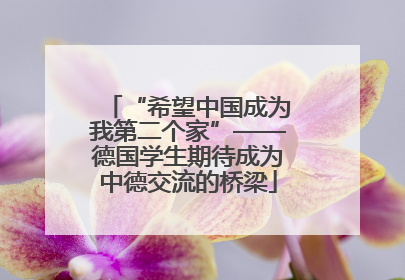 “希望中国成为我第二个家”——德国学生期待成为中德交流的桥梁