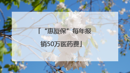 “惠厦保”每年报销50万医药费