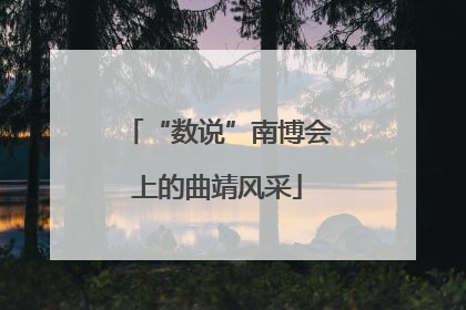 “数说”南博会上的曲靖风采