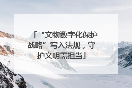 “文物数字化保护战略”写入法规，守护文明需担当