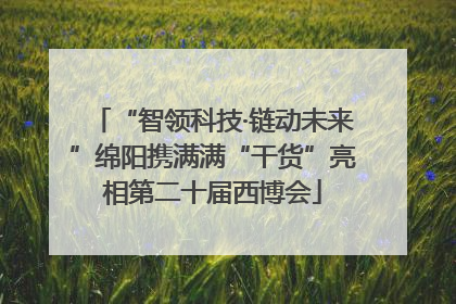 “智领科技·链动未来”绵阳携满满“干货”亮相第二十届西博会
