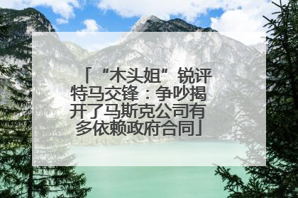 “木头姐”锐评特马交锋：争吵揭开了马斯克公司有多依赖政府合同