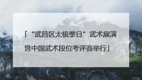 “武昌区太极拳日”武术展演暨中国武术段位考评赛举行