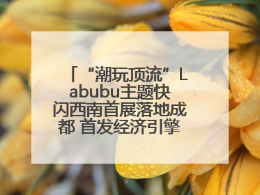 “潮玩顶流”Labubu主题快闪西南首展落地成都 首发经济引擎再添动能