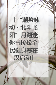 “潮势咏动・北斗飞阳”月湖迷你马拉松全民健身赛在汉启动