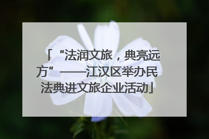 “法润文旅，典亮远方”——江汉区举办民法典进文旅企业活动