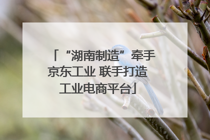 “湖南制造”牵手京东工业 联手打造工业电商平台