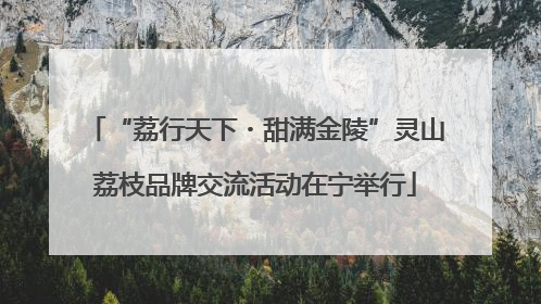 “荔行天下・甜满金陵”灵山荔枝品牌交流活动在宁举行