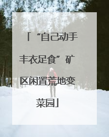 “自己动手丰衣足食”矿区闲置荒地变菜园