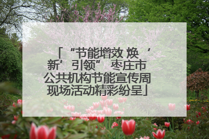 “节能增效 焕‘新’引领” 枣庄市公共机构节能宣传周现场活动精彩纷呈