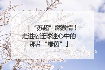 “苏超”燃激情！走进宿迁球迷心中的那片“绿茵”