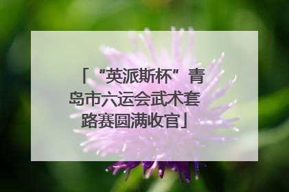 “英派斯杯”青岛市六运会武术套路赛圆满收官